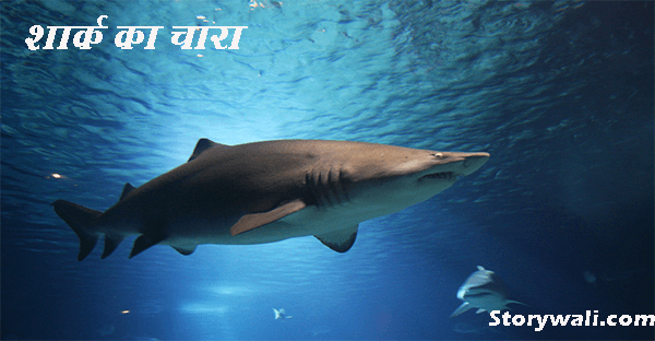 shark-ka-chara-moral-hindi-story